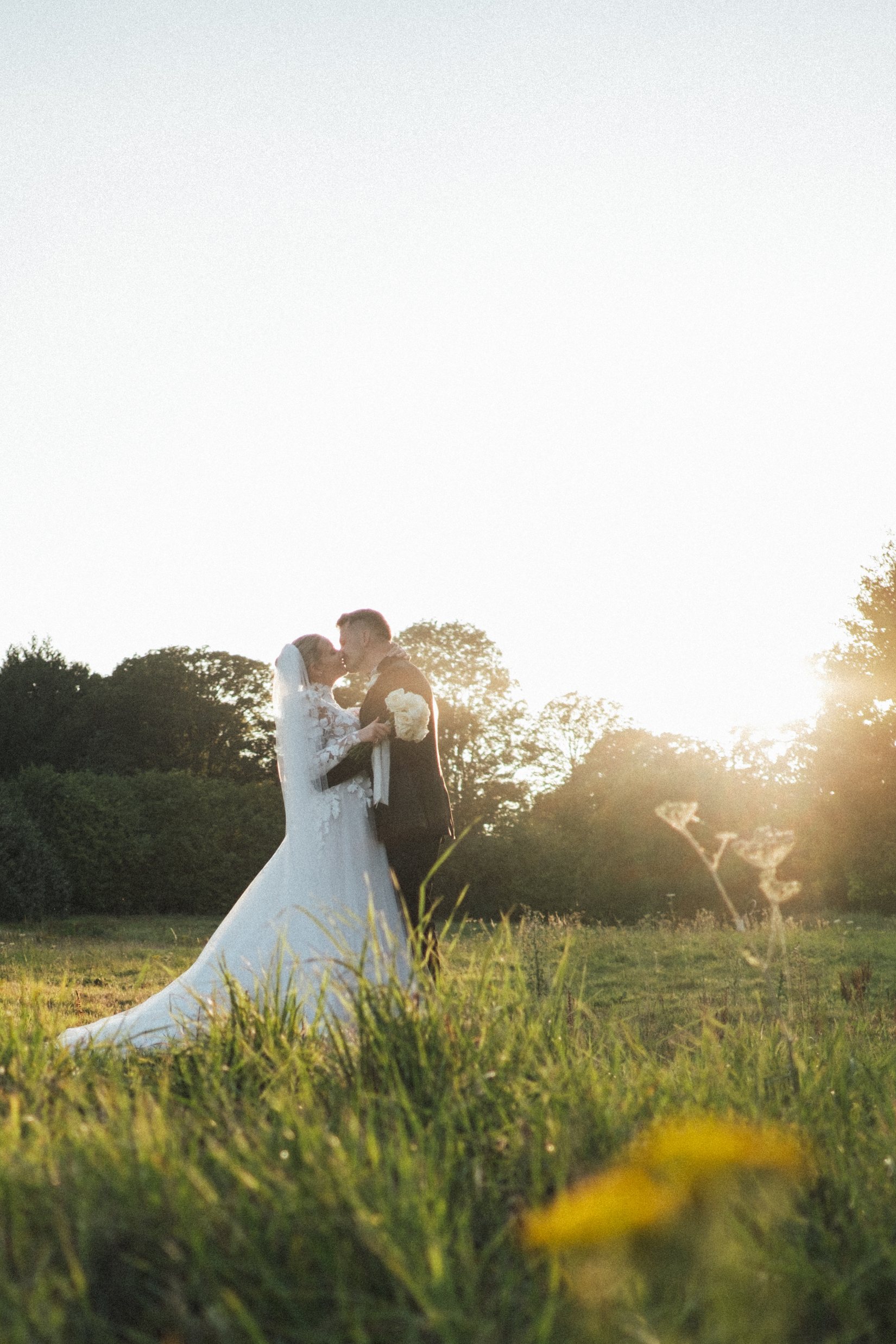 A bride and groom kissing in the long grass of the parkland, the evening sun low behind the trees